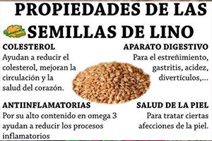 Propiedades, beneficios y contraindicaciones de las semillas de lino