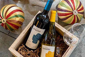 5 vinos tintos mexicanos que te recomendamos